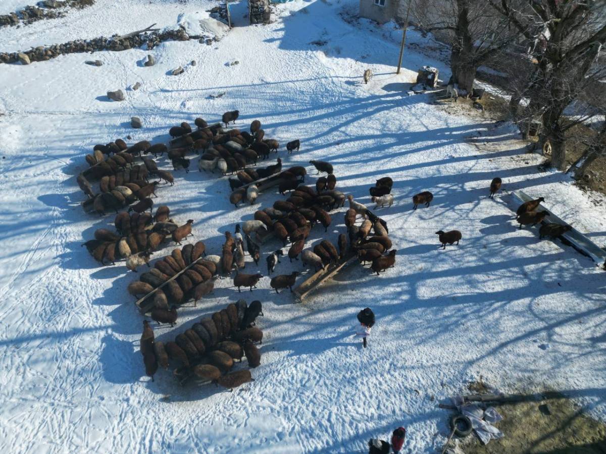 Ağrı’da kar ve soğukla gelen kartpostallık manzara