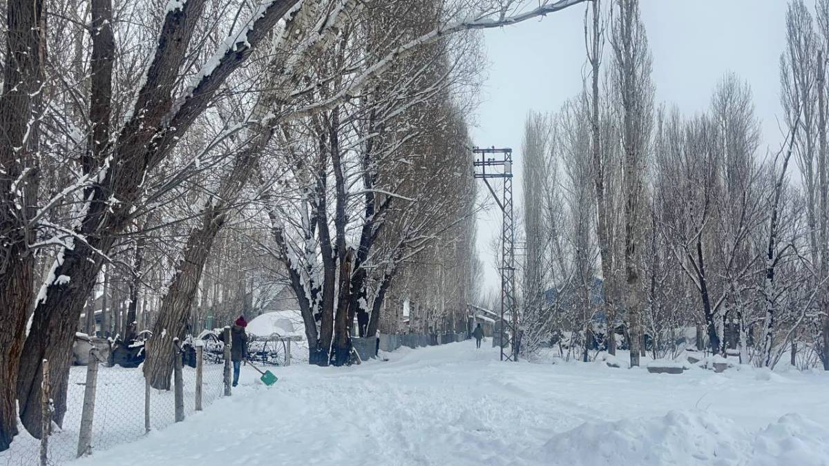 Ağrı’da kar yağışı sürüyor, Valilikten peş peşe uyarı