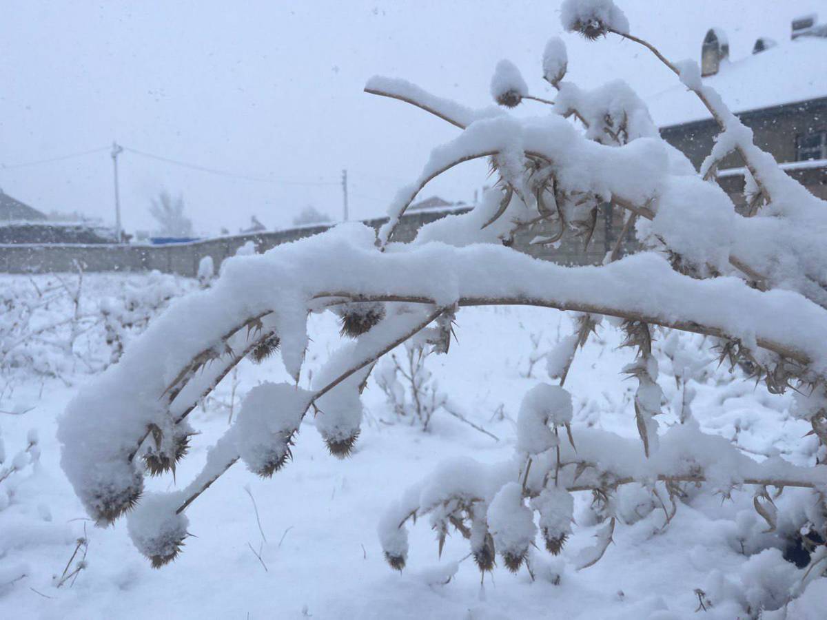 Ağrı’da kar yağışı sürüyor, Valilikten peş peşe uyarı