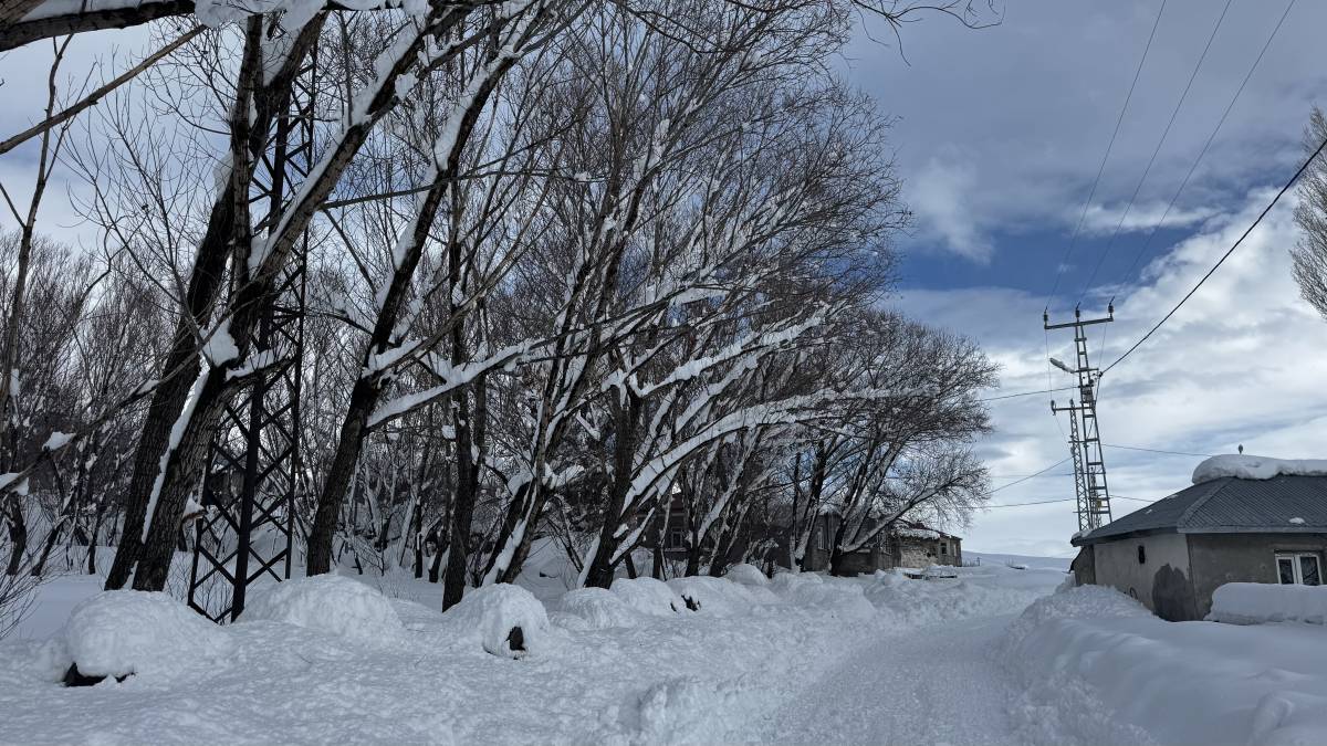 Taşlıçay’da kar kapıları kapattı, vatandaşlar tünellerle dışarı çıktı