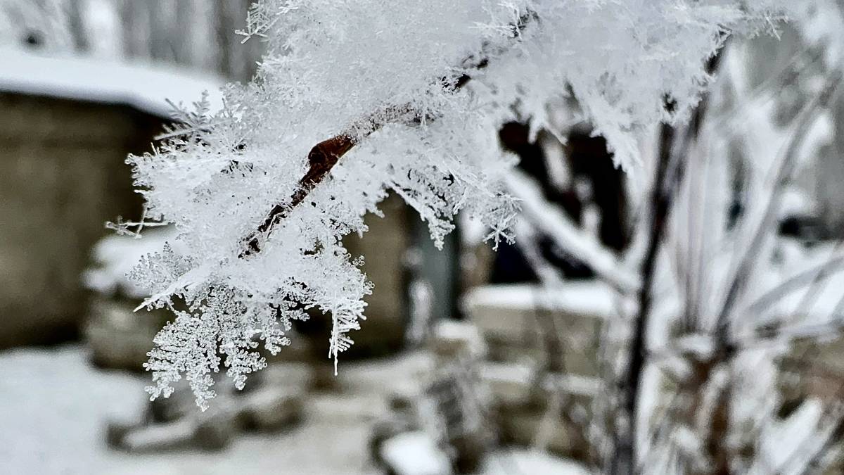Ağrı’da kar ve soğukla gelen kartpostallık manzara