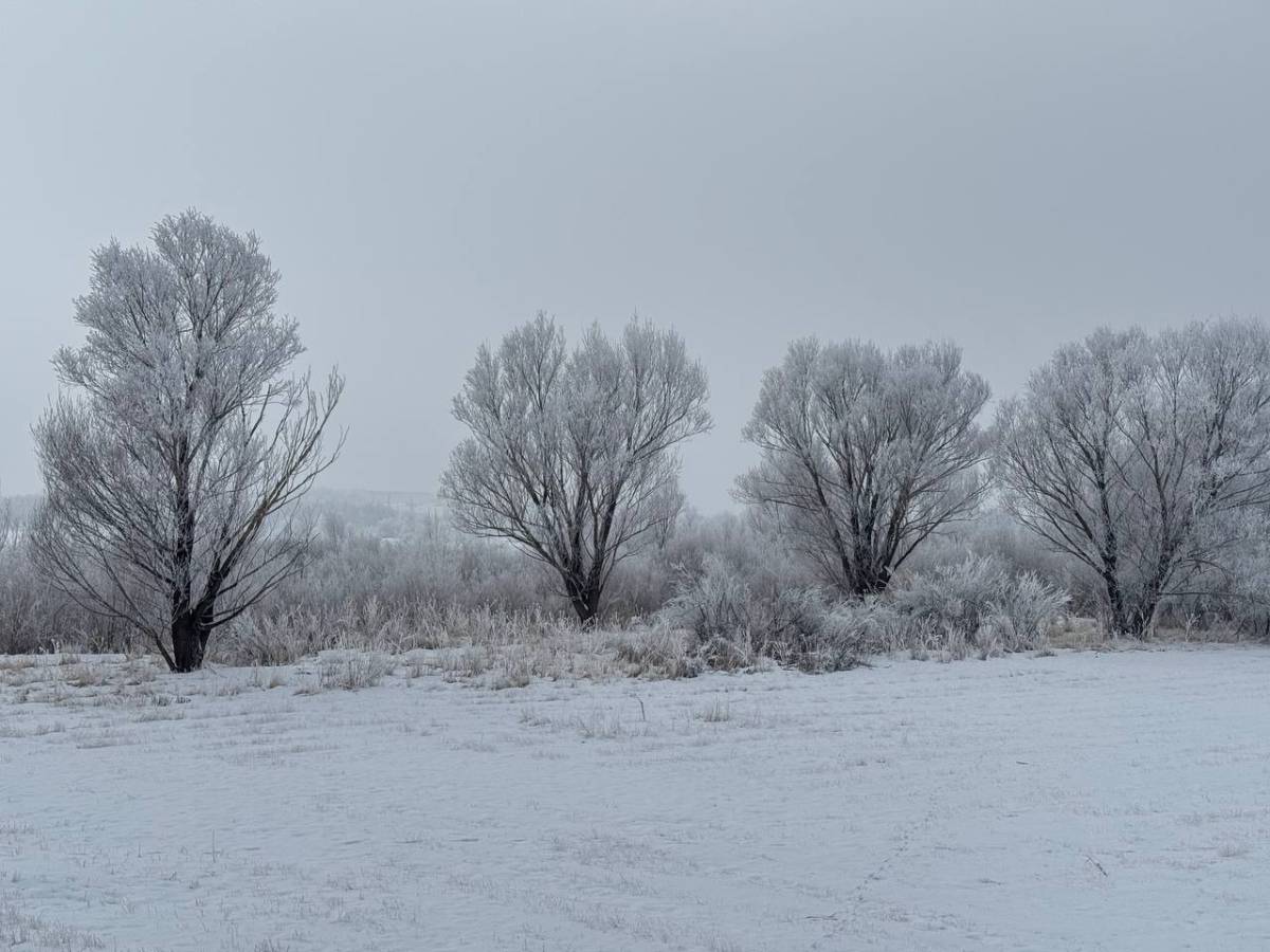 Ağrı’da yeniden dondurucu soğuklar etkili oldu