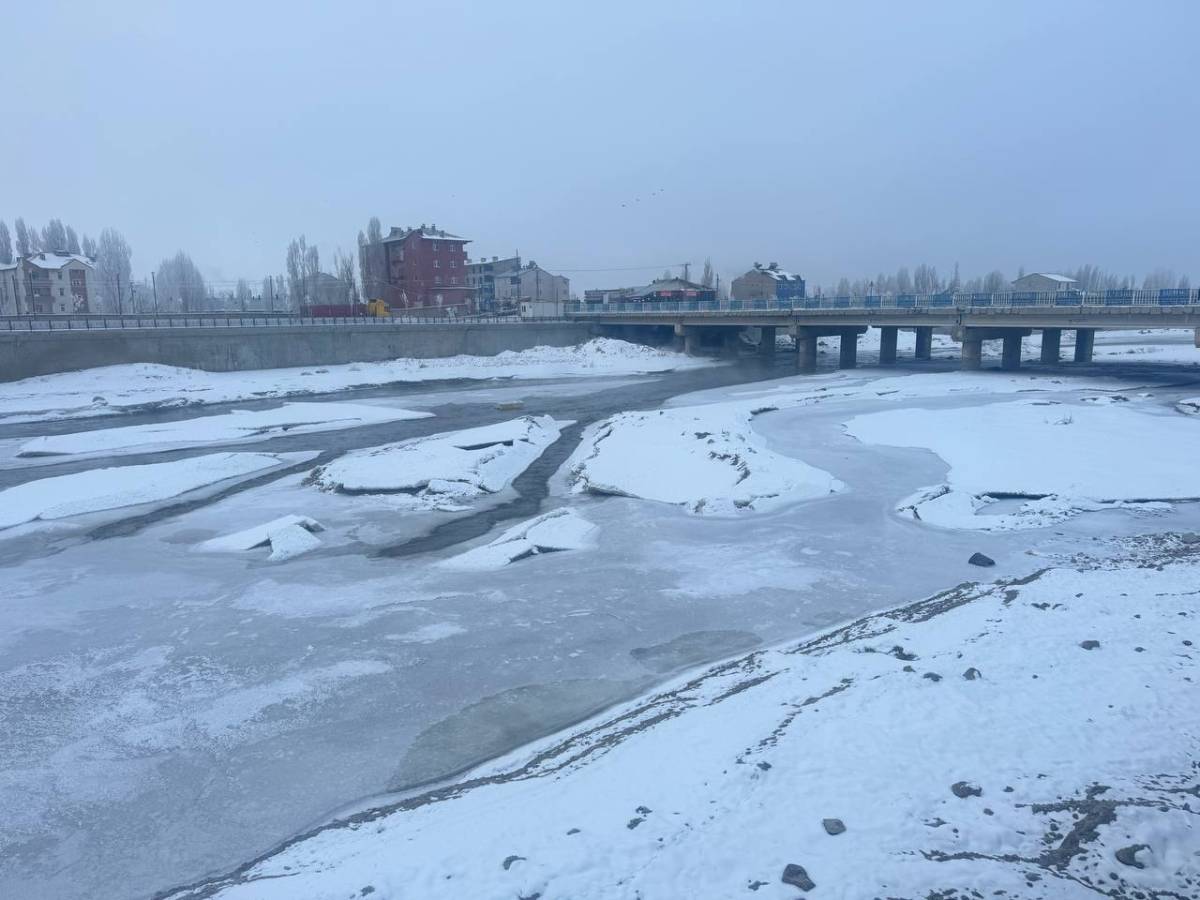 Ağrı’da yeniden dondurucu soğuklar etkili oldu