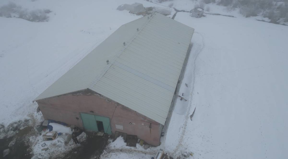 Ağrı’da yetiştiriciye devlet desteği