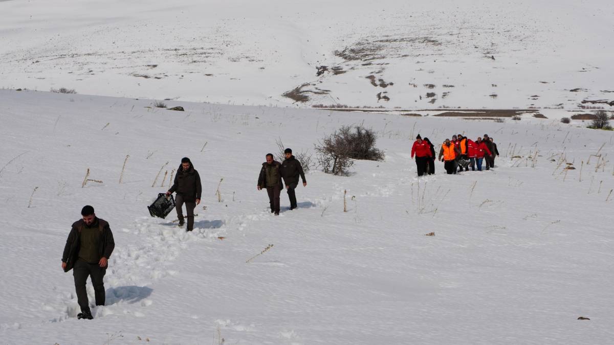 Ağrı’nın zorlu kış şartlarında yaban hayvanları için doğaya yem bırakıldı