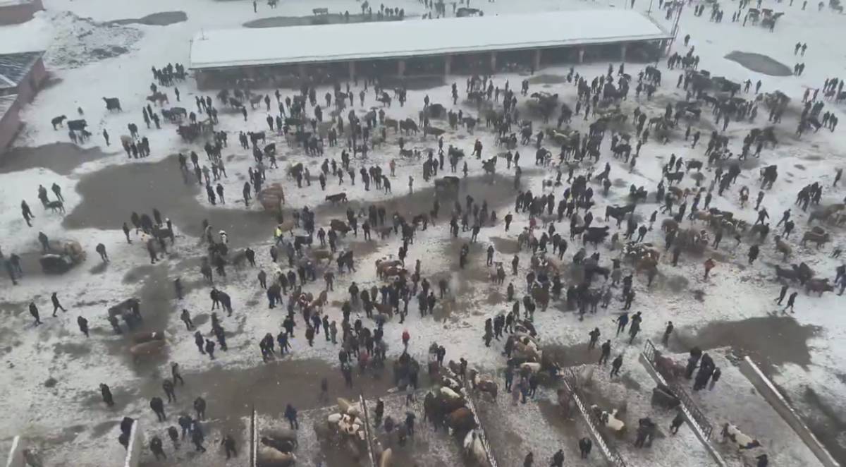 Ağrı’da Hayvan Borsası çevresinde trafik denetimi