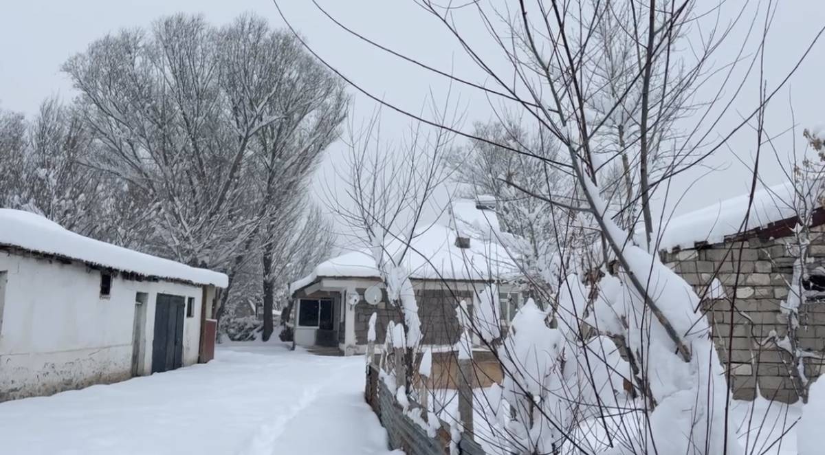 Ağrı’da gece boyunca kar etkili oldu