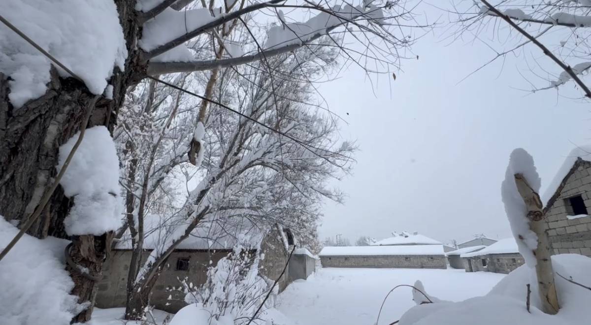 Ağrı’da gece boyunca kar etkili oldu
