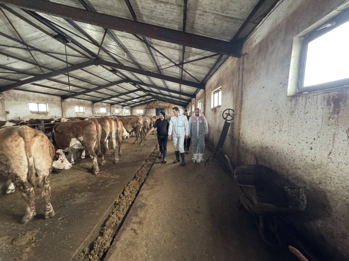 İl Müdürü Hüseyinoğlu, Ağrı’da modern ahır yatırımını yerinde inceledi
