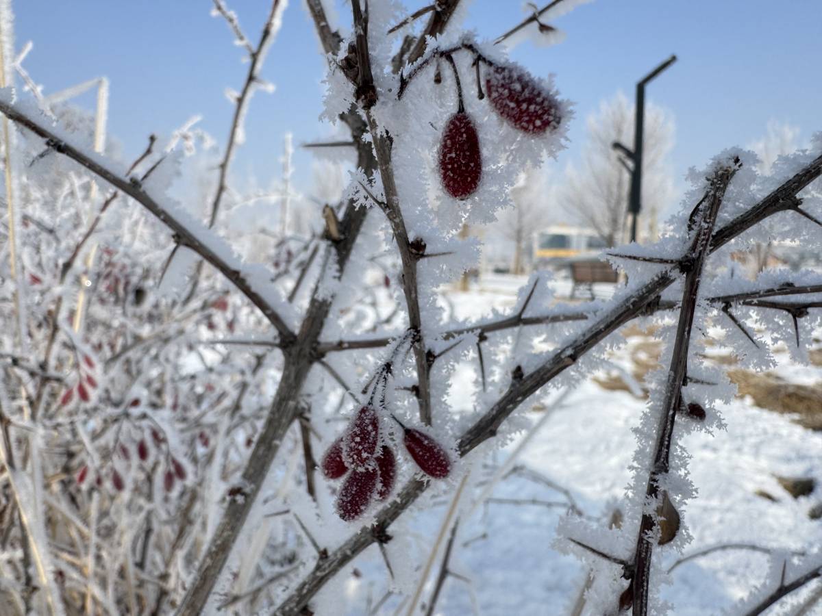 Ağrı’da kar ve soğukla gelen kartpostallık manzara