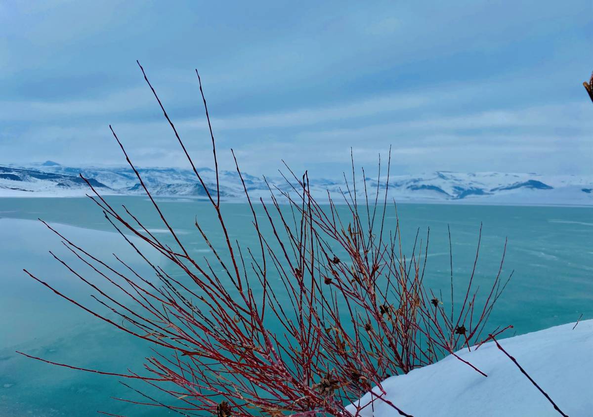 Ağrı’da kar yağışı güzel manzaralar oluşturdu