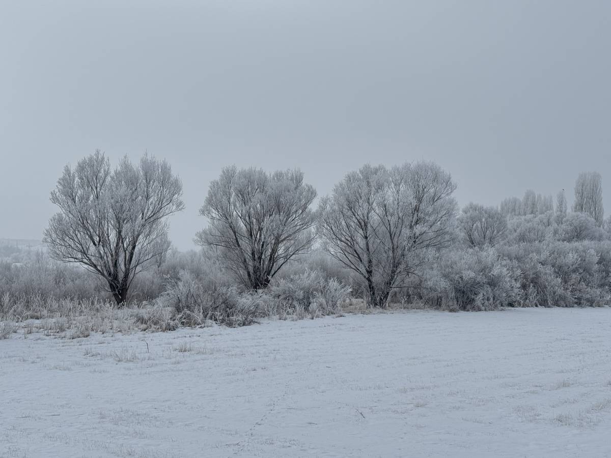 Ağrı’da hava yeniden buz kesti