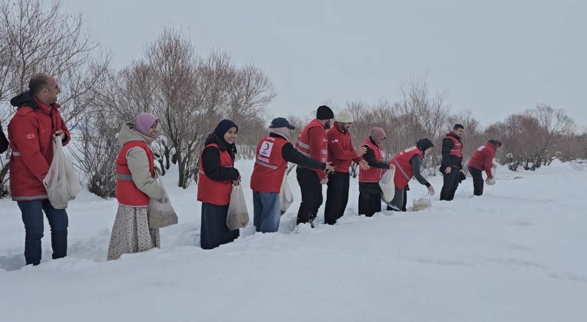 Ağrı’da Kızılay’dan yaban hayatına destek