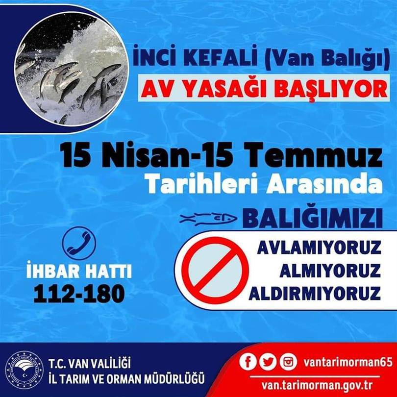 Erciş’te İnci Kefali İçin 7/24 Sıkı Denetim