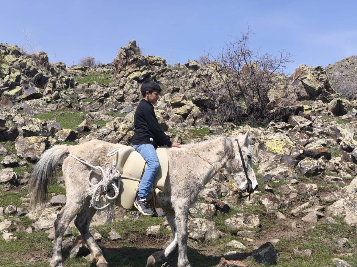 Ağrı’da çiriş otu hem geçim hem lezzet kaynağı