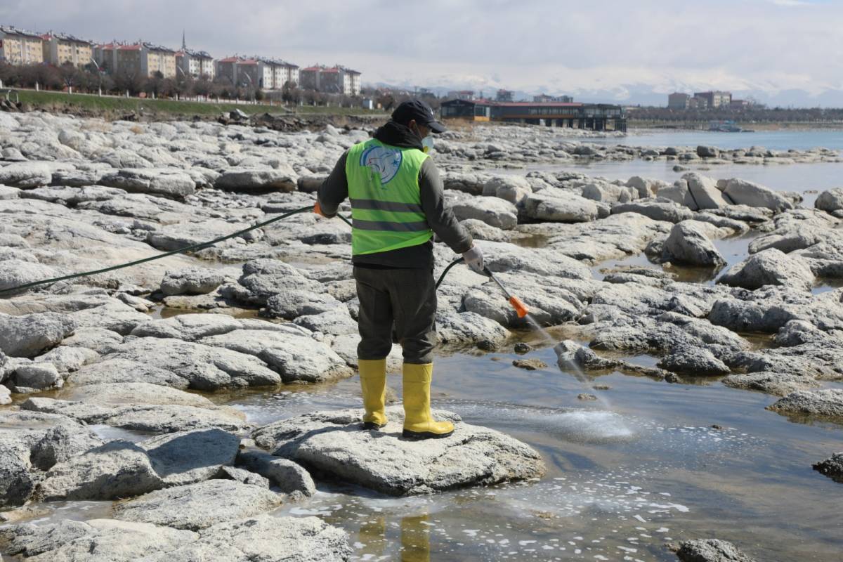 Erciş Belediyesi’nden İlaçlama Seferberliği