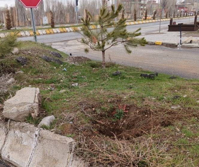 Patnos’ta Fidanlara Zarar Veren 2 Kişi Tespit Edildi