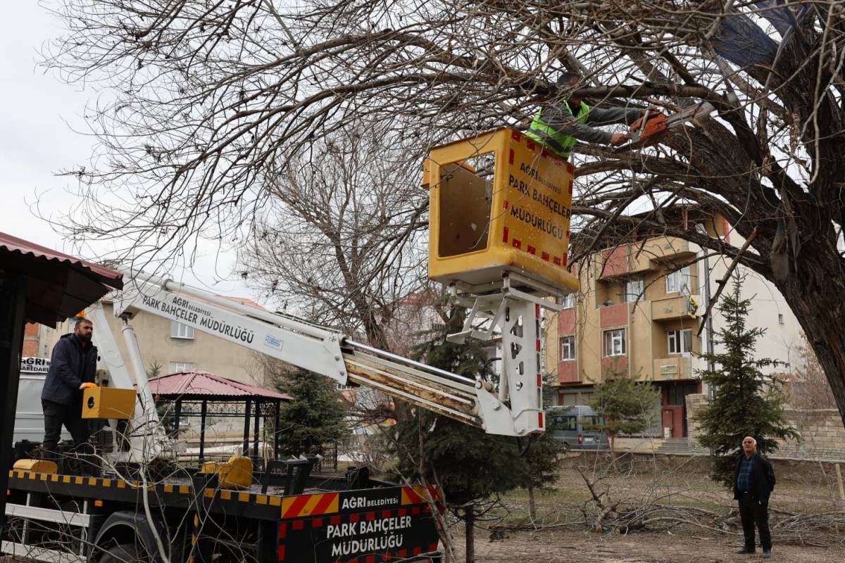 Ağrı’da yeşil alanlarda Bahar mesaisi başladı