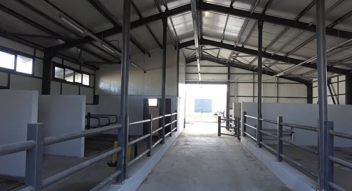 Ağrı’da 307 ahırlık dev projede sona yaklaşıldı