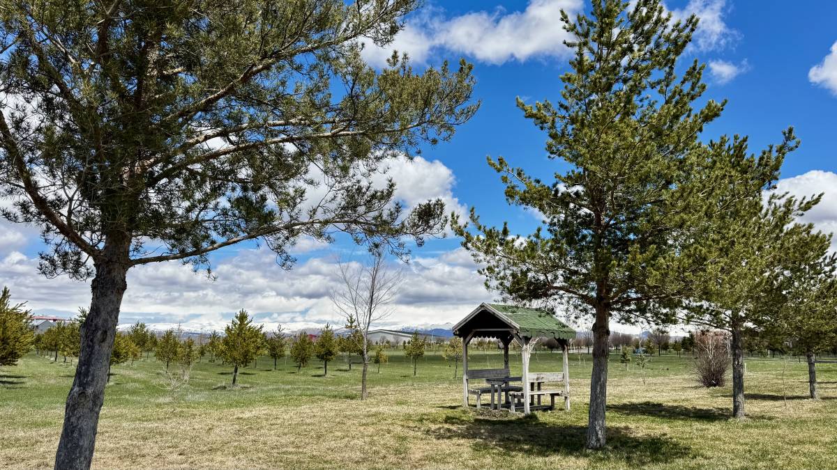 Nihayet güneş Ağrı’da yüzünü gösterdi