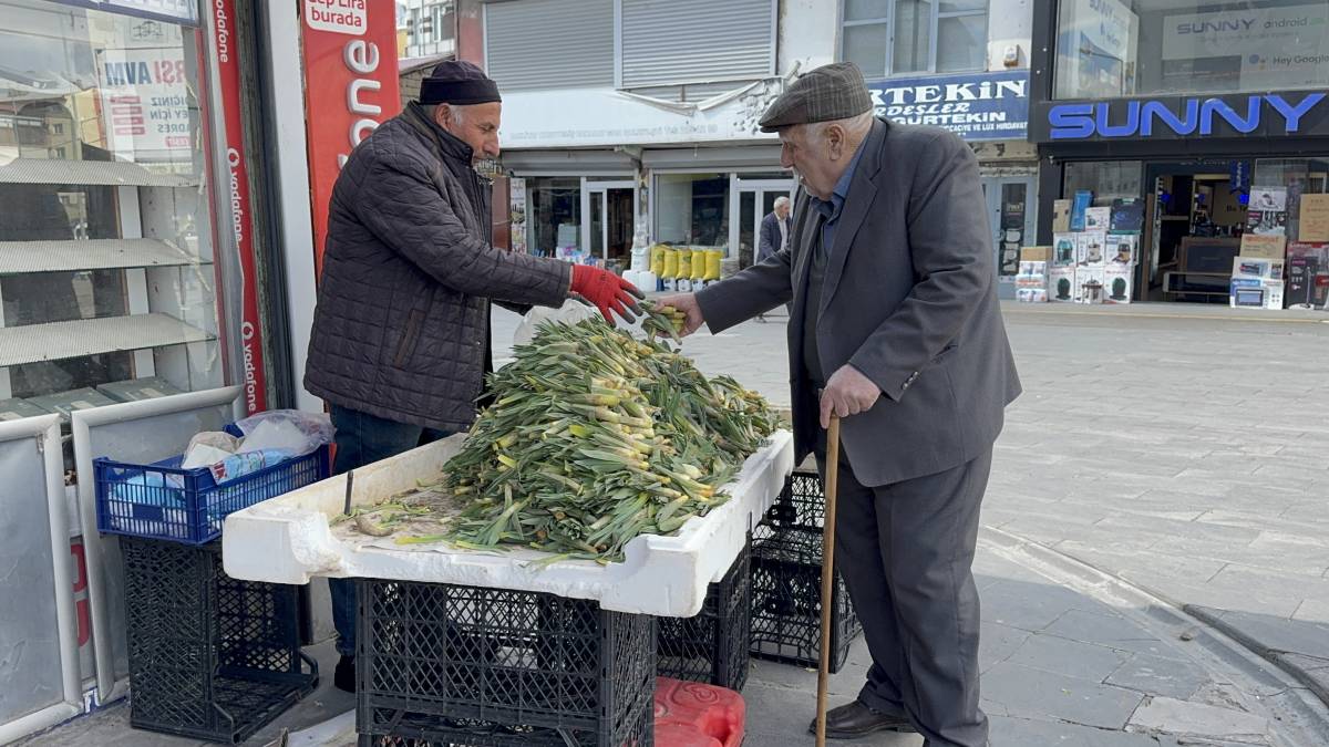 Ağrı’da çiriş otu hem geçim hem lezzet kaynağı