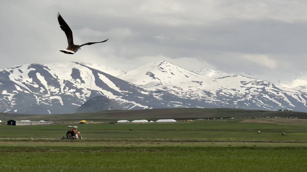Ağrı’da baharla birlikte meralar canlandı