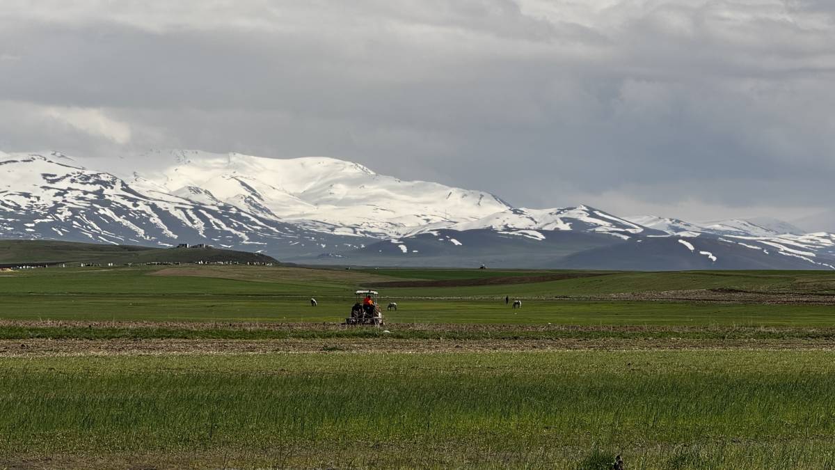 Ağrı’da baharla birlikte meralar canlandı