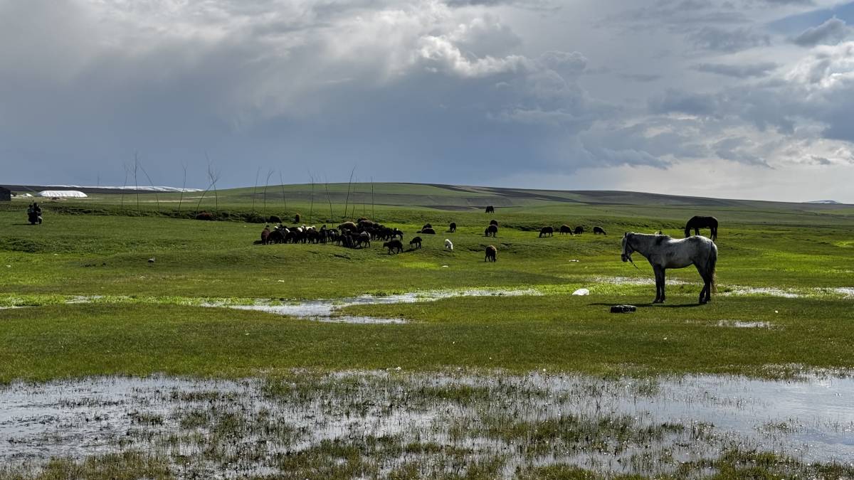 Ağrı’da baharla birlikte meralar canlandı
