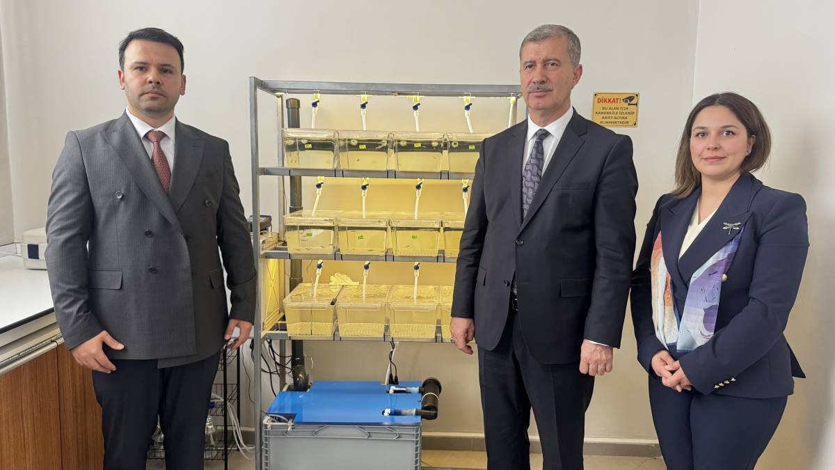 Ağrı’da zebra balıklarıyla hastalıklara umut aranacak