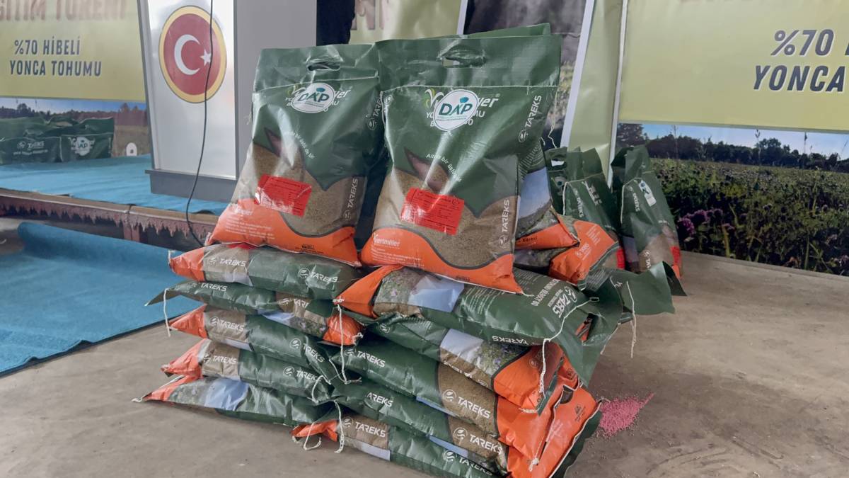 Ağrı’da 440 üreticiye 44 ton sertifikalı yonca tohumu dağıtıldı