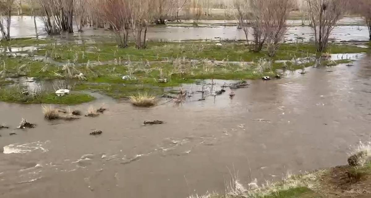 Erciş’te Sağanak Yağış Taşkına Neden Oldu: Tarım Arazileri Sular Altında Kaldı