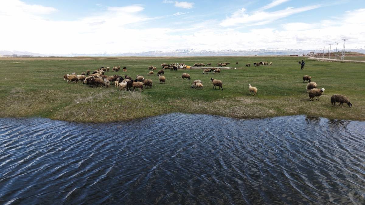 Van’da Yağışlar 60 Yılın En Kurak Yılının Ardından Yüzde 100’ü Aşan Artış