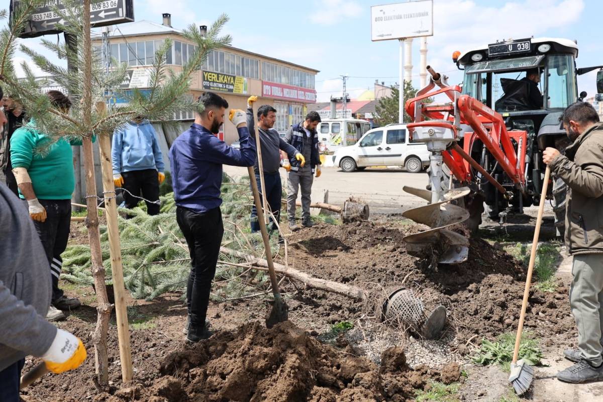 Ağrı’da Ağaçlandırma ve Altyapı Çalışmaları Sürüyor